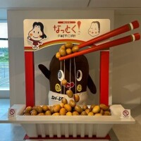 毎日しつこいかꉂ𐤔