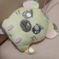 本指F様昨日のお礼ᩚ