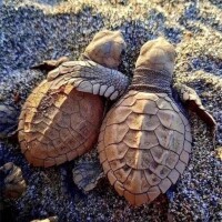 タイトルが、キュンキュンしちゃう♡
