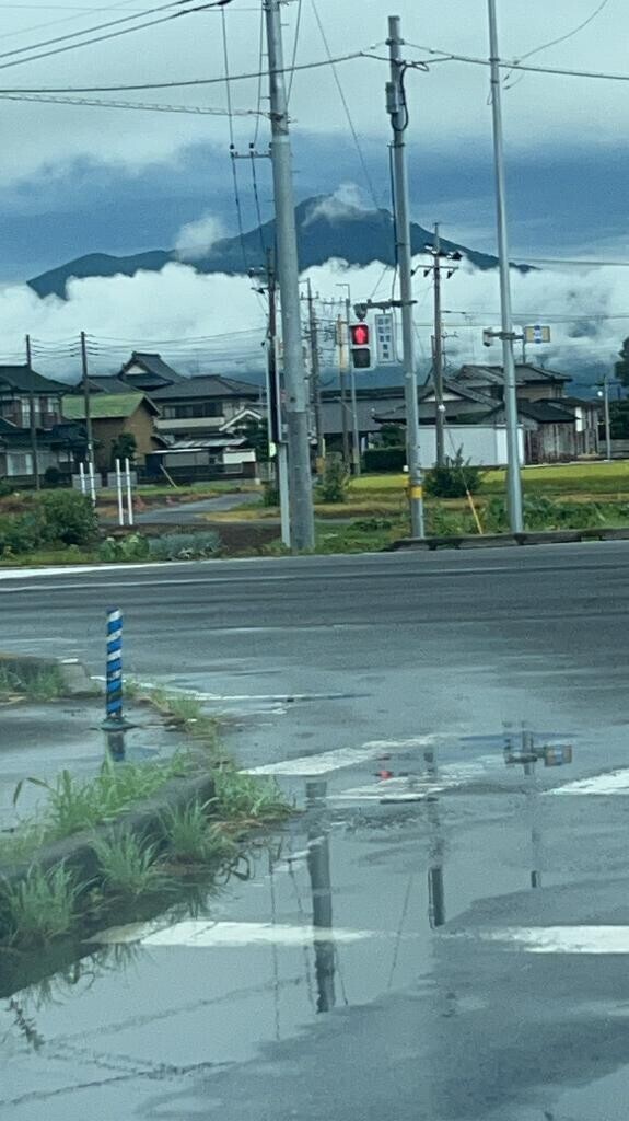 綺麗だね