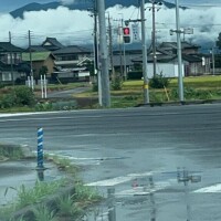 綺麗だね