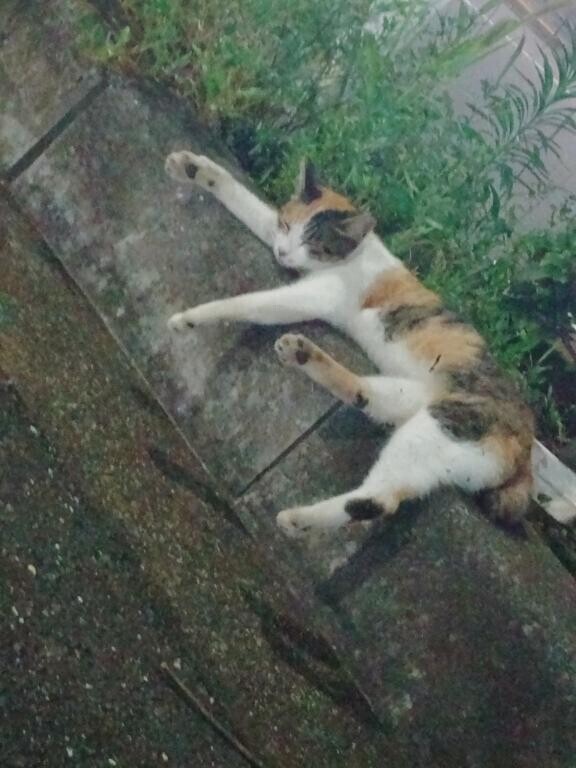 とある駅にて