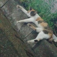 とある駅にて