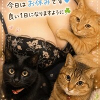 おはよ～今日はお休み