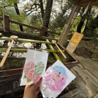 趣味の神社活動満喫中