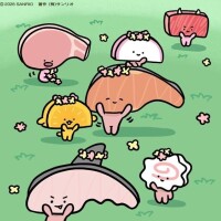 文野【ふみの】