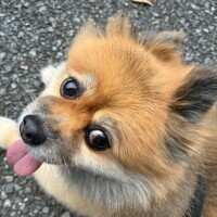 明日から出勤