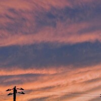 秋空