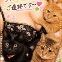シフト少し変更と追加のご連絡