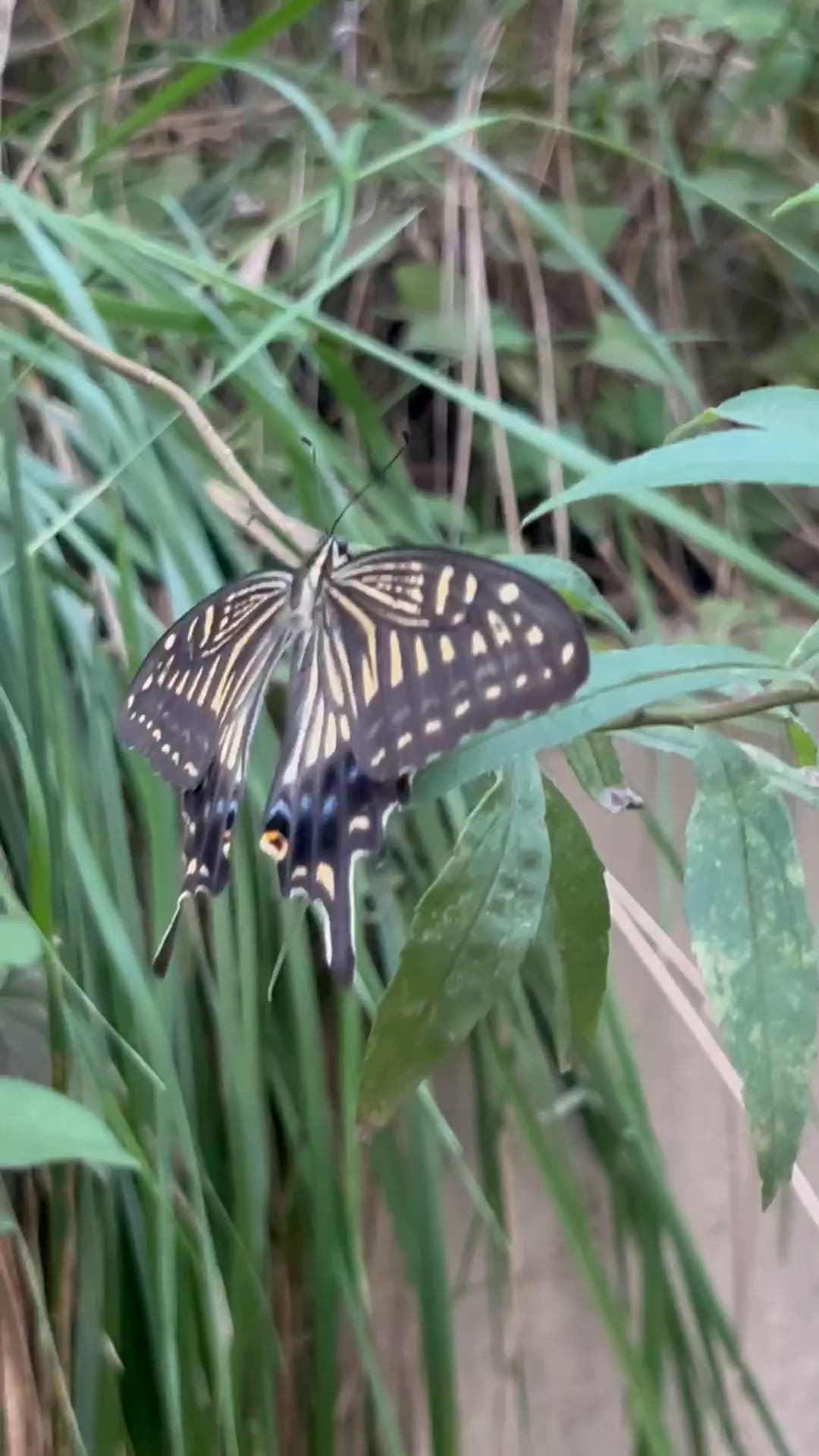 お疲れ様