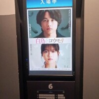 みてきまーす♡