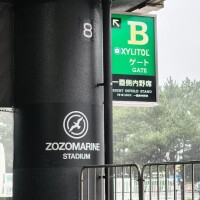 雨だけど…