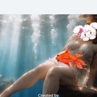 豆知識