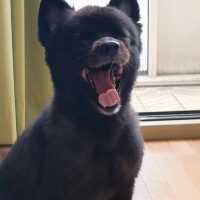 実家に寄ってきたよーん！