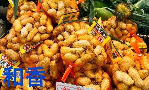 今日はイベントー
