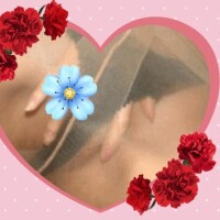 面白そうな…