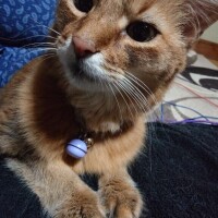 最高の癒し(* ´  ` *)ᐝ