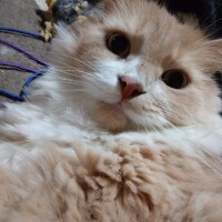 今日の破壊神！！