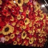本指F様感謝ᩚ