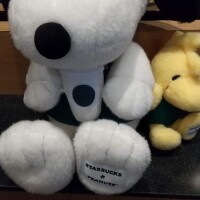 こんばんわ
