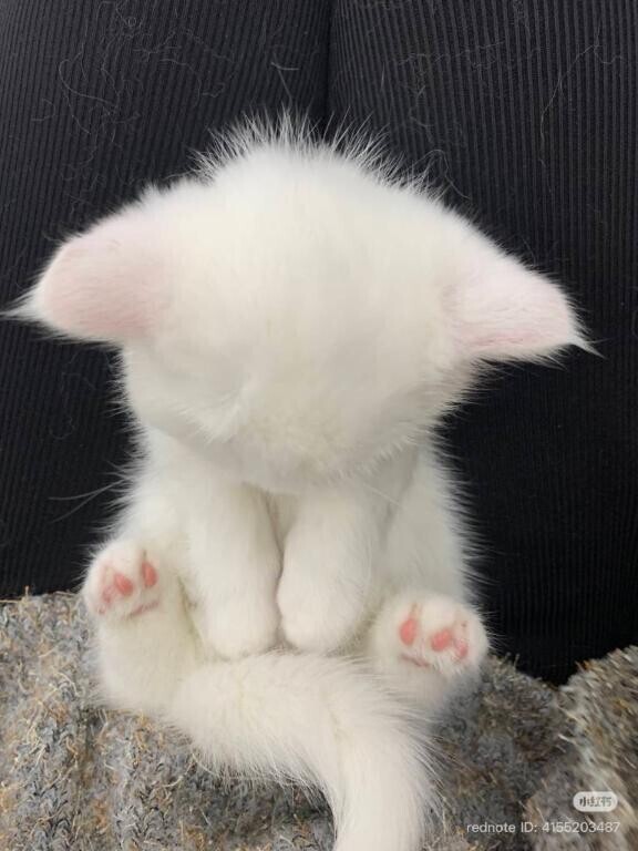 今日は…