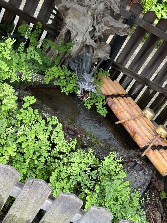 昨日の思い出