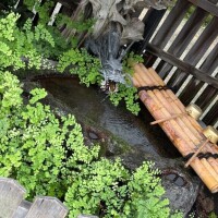昨日の思い出