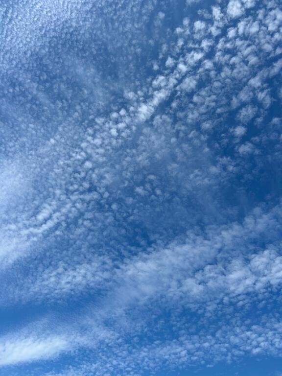 良いお天気♡