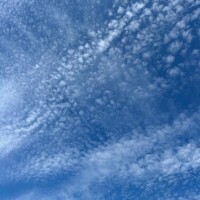 海音【あまね】