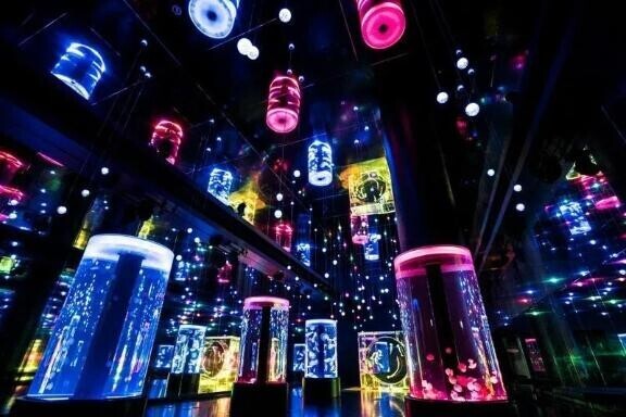 行ってみたい🪼