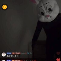 推しうさぎ​ᰔᩚ