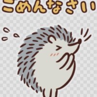 うわーん｡ﾟ(ﾟ´ω`ﾟ)ﾟ｡