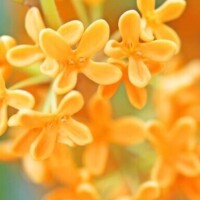 おはようございます♡