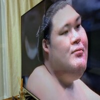 やったね