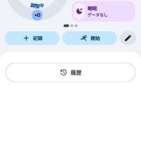 やばい記録