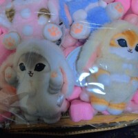 ダイエット成功記念？？
