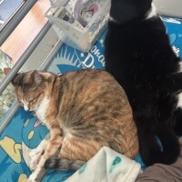 おはようございます(*^^*)