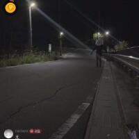 お散歩‍見れた