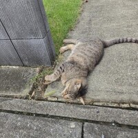 お客さん