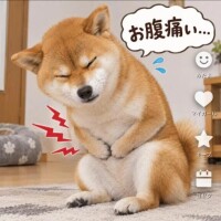 最近ずっとすみません