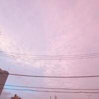 ピンク空