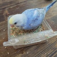 悩んでます