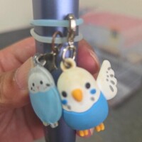 ホッとひと息