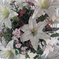 【お礼写メ日記】