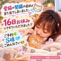 お詫びごめんなさい