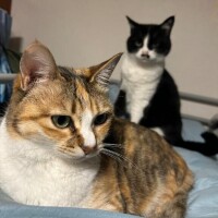 甘ーい時間だよ♡
