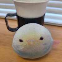 まぁったりしてます笑