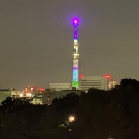 (((o(*ﾟ▽ﾟ*)o)))♡