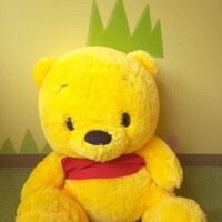 おはようございます