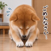ちょっと…